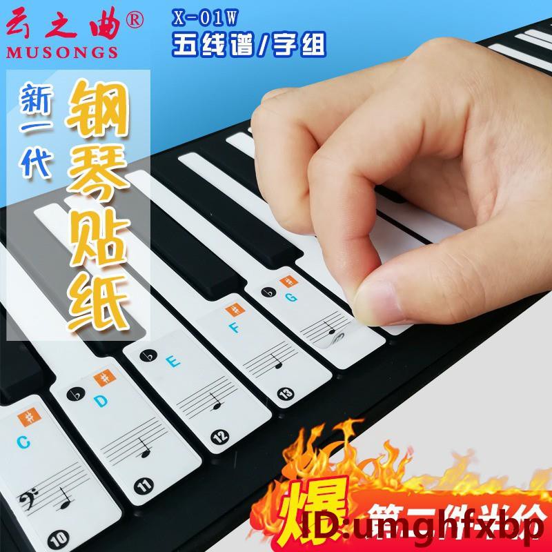 鋼琴鍵61電子琴學習音符音階鍵盤透明貼紙簡譜五線譜初學者兒童umghfxbp 蝦皮購物