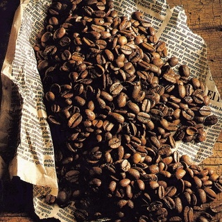 寶貝鋪☆肯亞咖啡，阿拉比卡水洗豆，肯亞生產頂級AA 咖啡豆