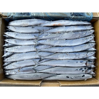 【龍井海鮮】嚴選秋刀魚／2號／大隻／9.7kg±10%／日式料理／燒烤／香煎／中秋節／烤肉／急速冷凍/挑戰市場最低價