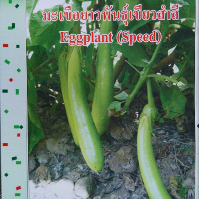 泰國綠長茄/種子 $50/60粒