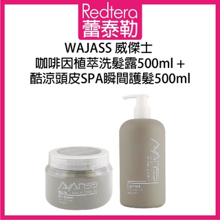 🔥蕾泰勒🔥 WAJASS威傑士 咖啡因洗髮精 + 酷涼頭皮SPA瞬間護髮 洗護套組