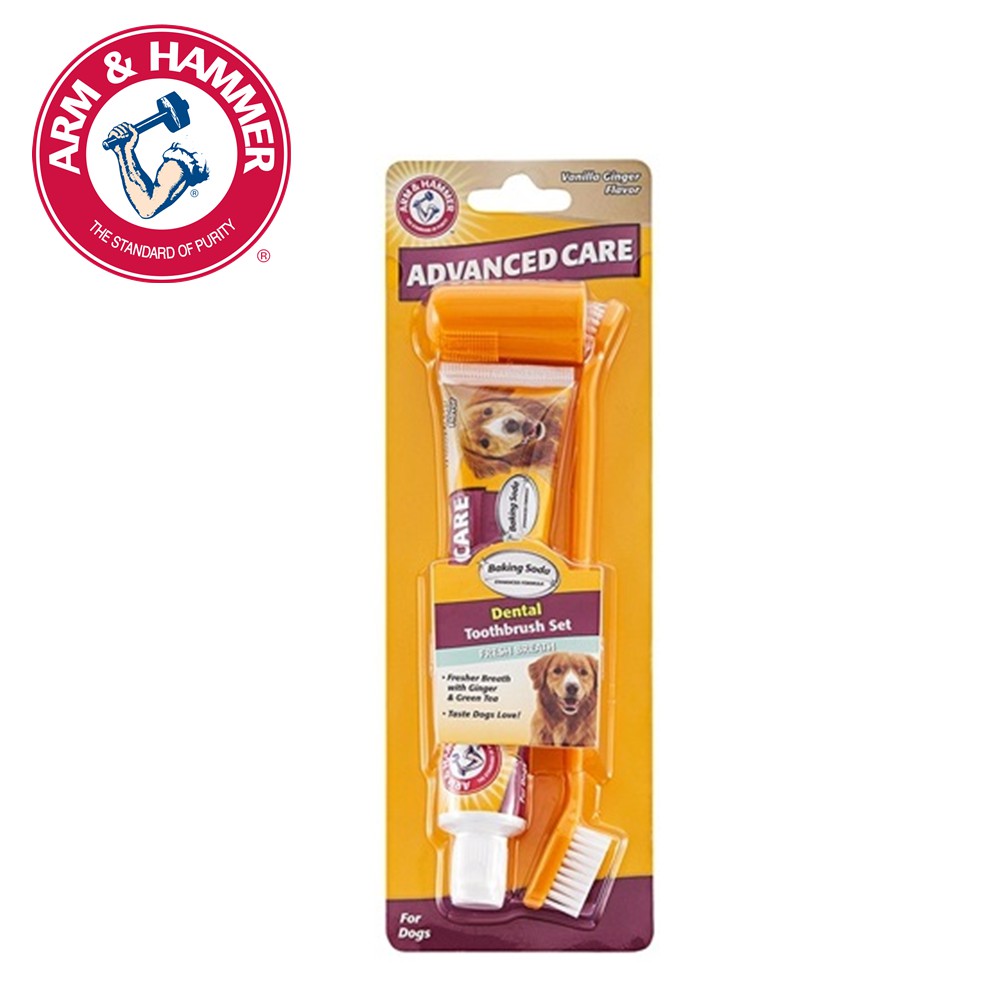 效期到11月 ARM & HAMMER 犬用3合1潔牙套組 (抗敏) 寵物牙膏 狗狗牙膏 犬用牙膏 牙膏 即期出清