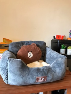 【現貨】寵物2用安全座椅 車用坐墊 安全扣 可外出用 可家裡用 毛小孩 寵物用品 寵物的窩 狗窩(現貨)