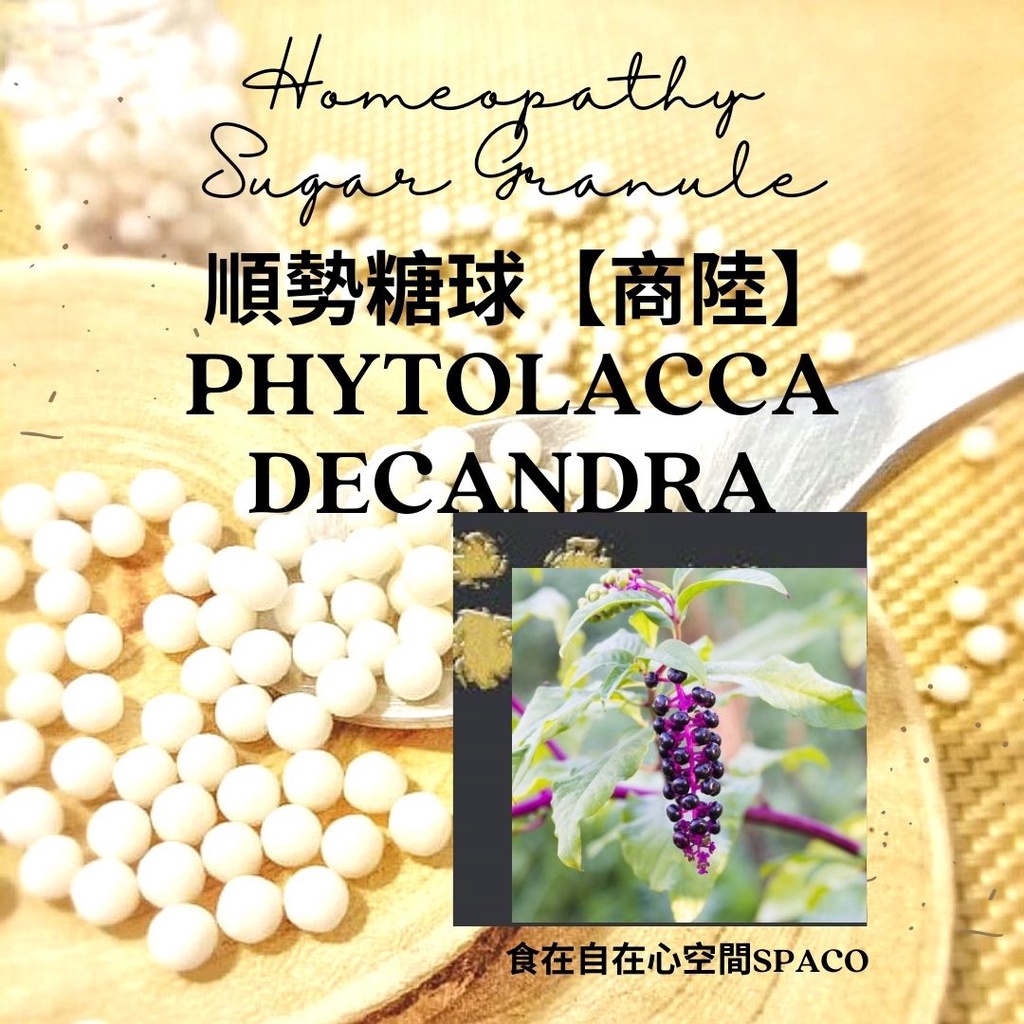 順勢糖球【商陸／Phytolacca Decandra】Homeopathy