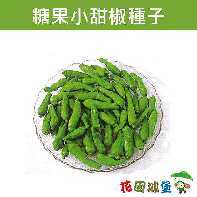 現貨 糖果小甜椒種子 烤串小甜椒 Sweet Pepper 約40粒 花園城堡 蝦皮購物