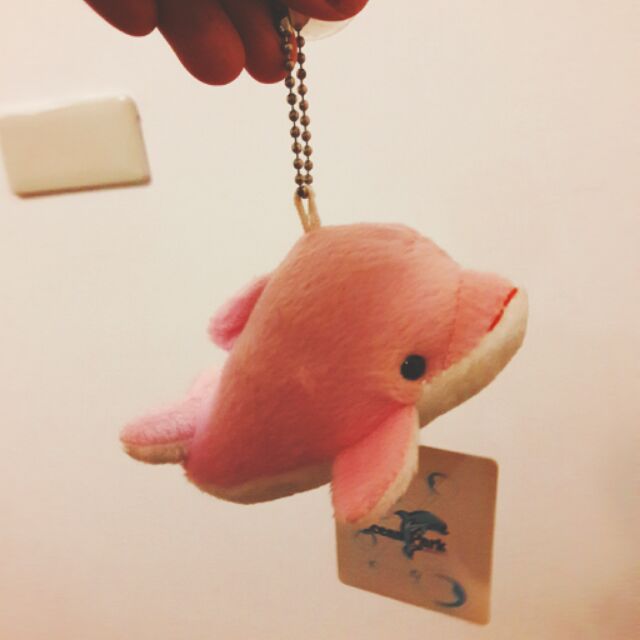 花蓮海洋公園購入粉色海豚
