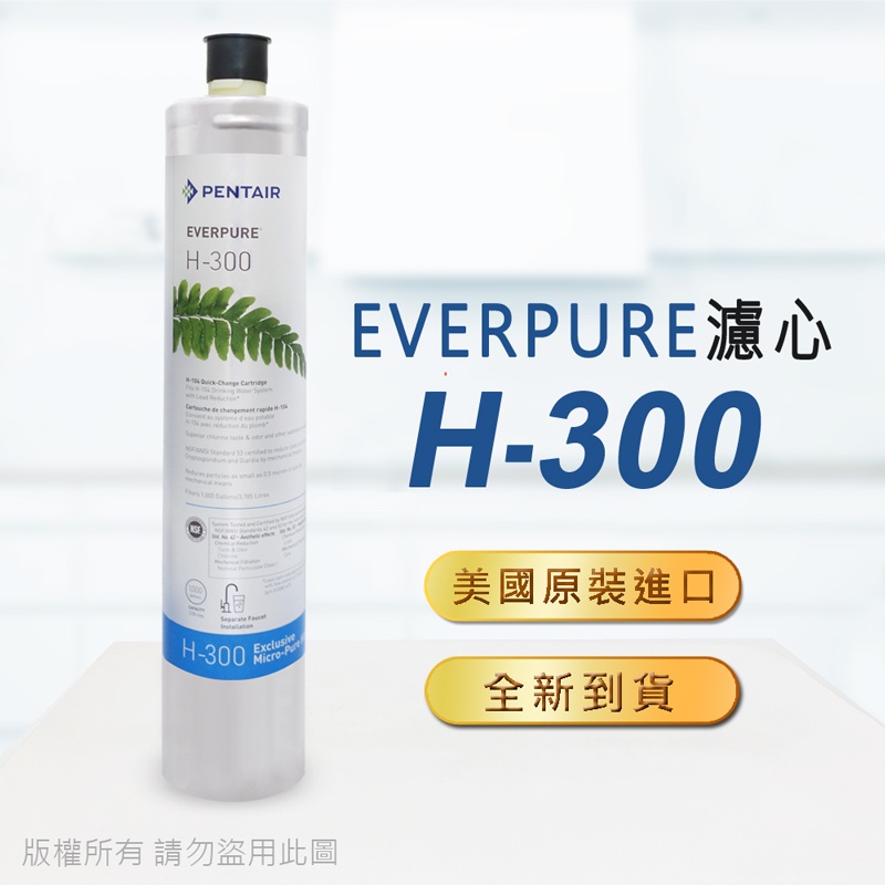 EVERPURE【H300】美國原廠平行輸入濾心(家用型)【刷卡含稅】