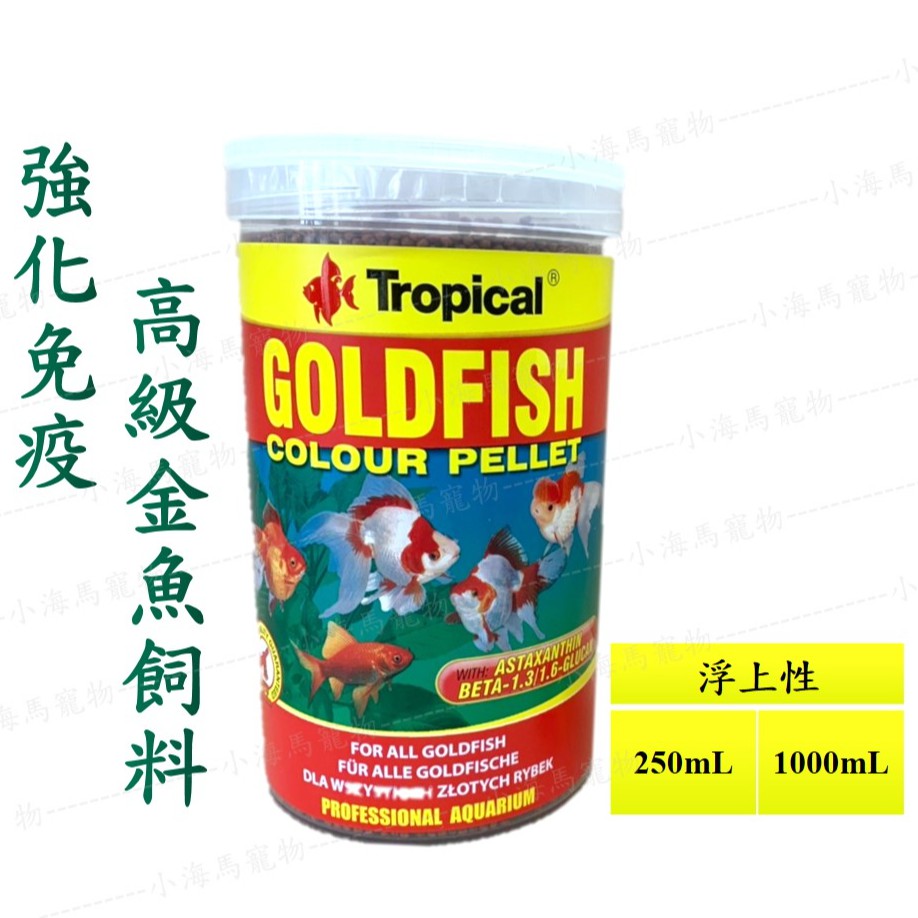 金獅頭 拍賣 評價與ptt熱推商品 21年6月 飛比價格