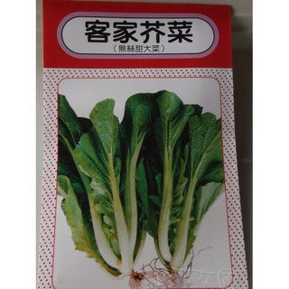 【滿699起免運】DIY種子栽種 成就滿滿~客家芥菜(無絲甜大菜) 適合做酸菜 【園丁花圃】