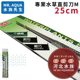 [ 河北水族 ] 水族先生Mr.Aqua -專業水草剪刀 直剪 M 25cm