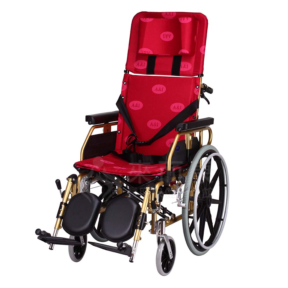 來而康 安愛 機械式輪椅 2011P 2211P 鋁躺輪椅 輪椅B款附加功能AB款 補助 贈 輪椅置物袋