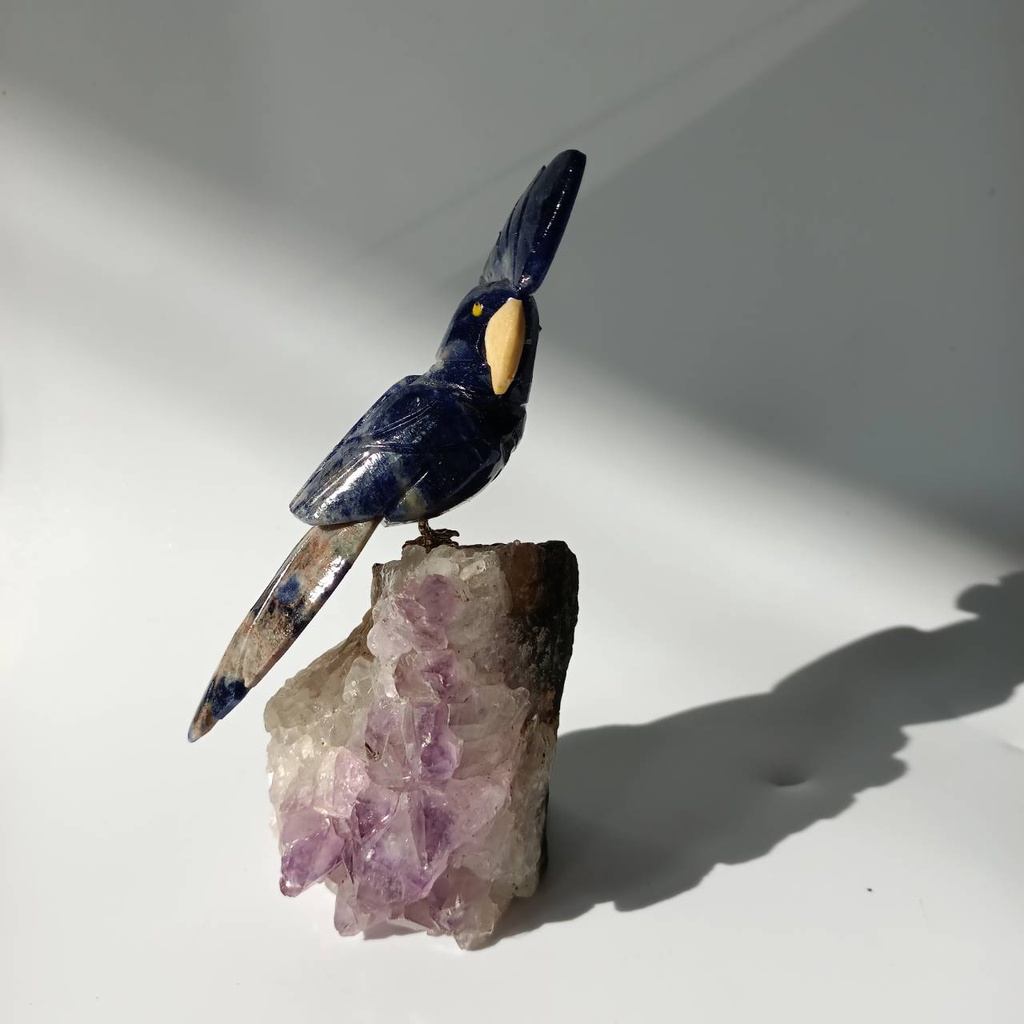 能量星球✳巴西 水晶鳥 藍紋石 紫水晶簇 小爆彩 動物