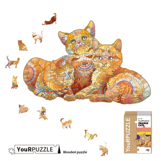 YouRPUZZLE 台灣現貨 三隻橘貓 檢驗合格木質動物拼圖 不規則木製拼圖 精美設計外盒