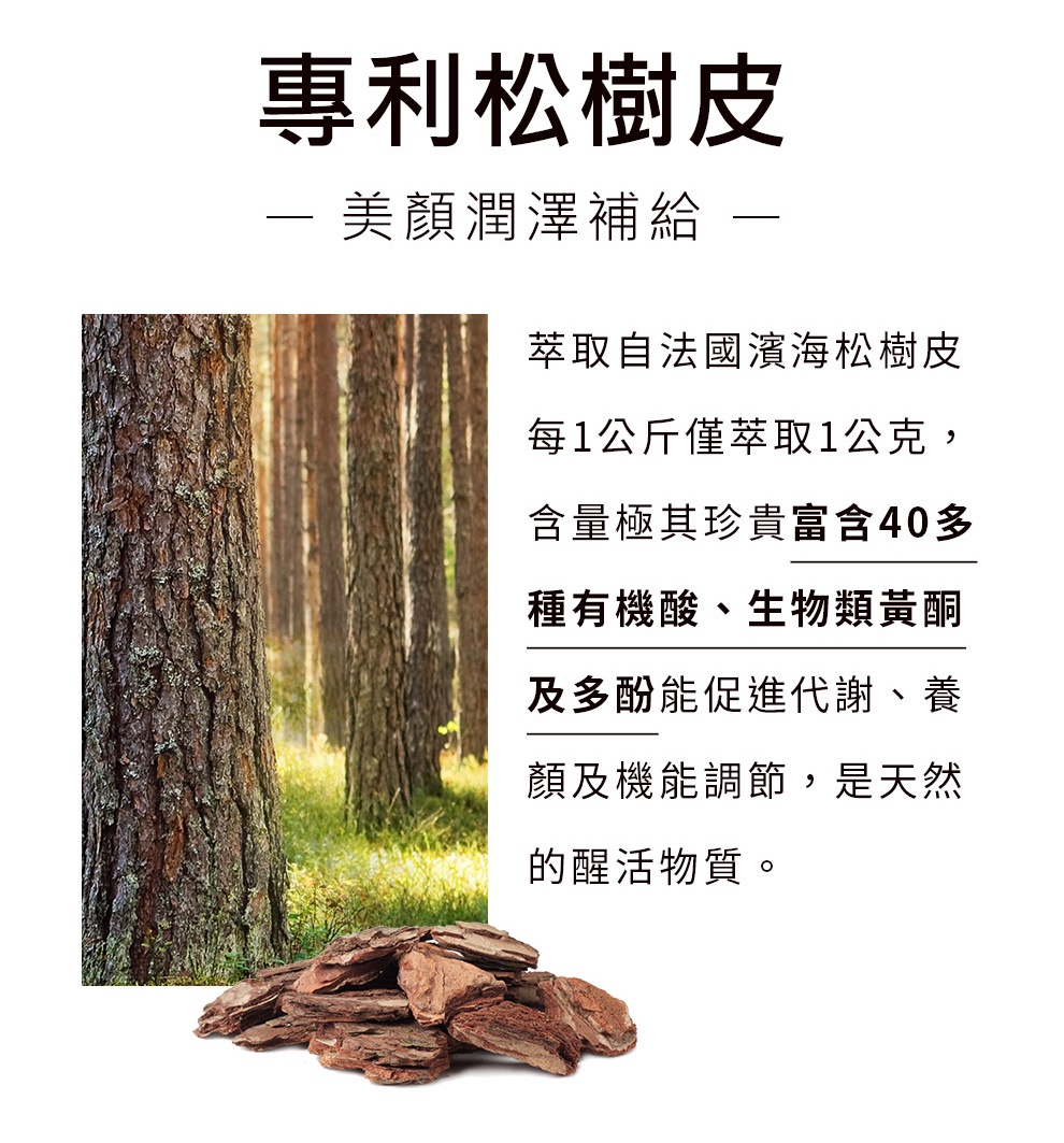 NOW健而婷 法國松樹皮膠囊食品(60顆/瓶) | 蝦皮購物