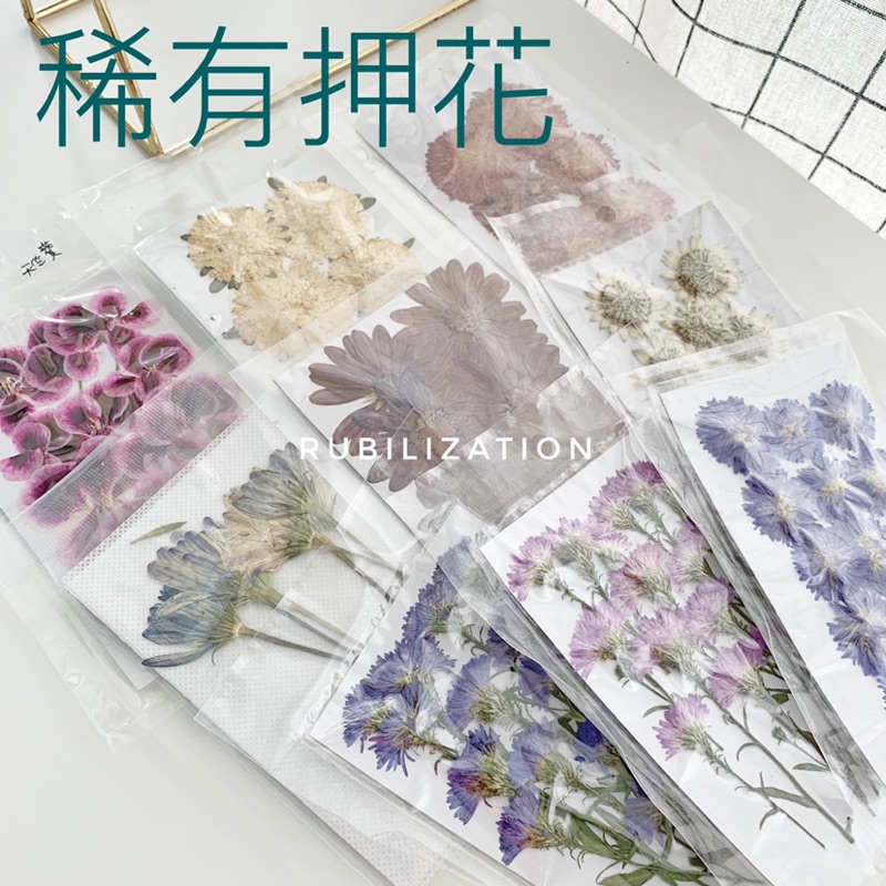 壓花 乾燥花 美甲材料稀有押花 蝦皮購物