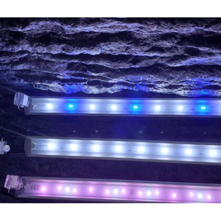 🎊🎊高之光跨燈系列 全白燈 藍白燈 增艷燈 118公分 4尺缸用 高之光跨燈 ISTA 伊士達 跨燈 水族燈具 白燈