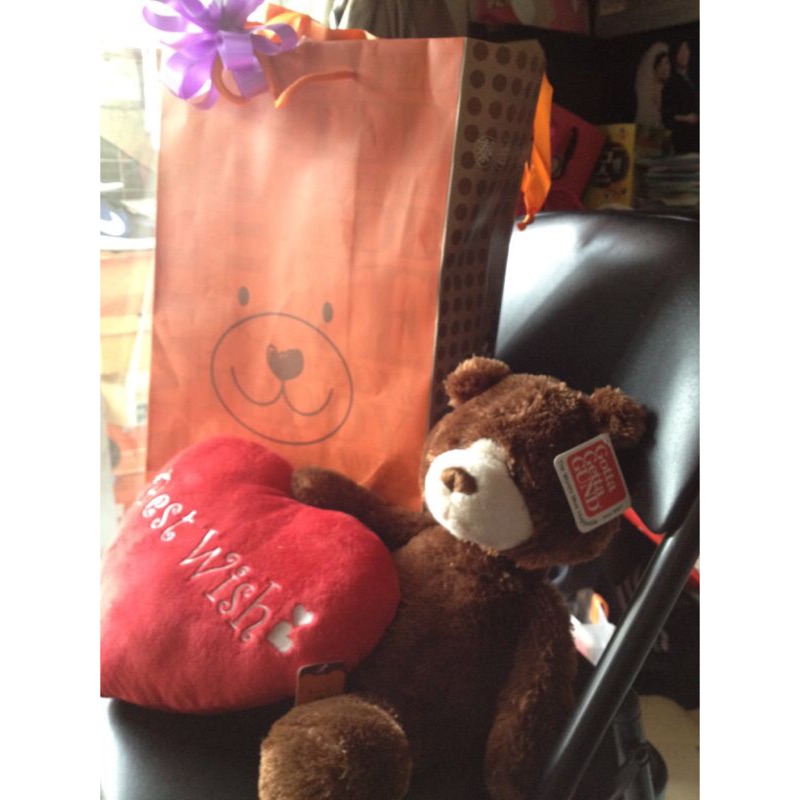 （全新)Teddy & family泰廸家族熊(Gund的法尼系列)抱枕長：21cm寛：25cm（情人節、生日、婚禮佈置