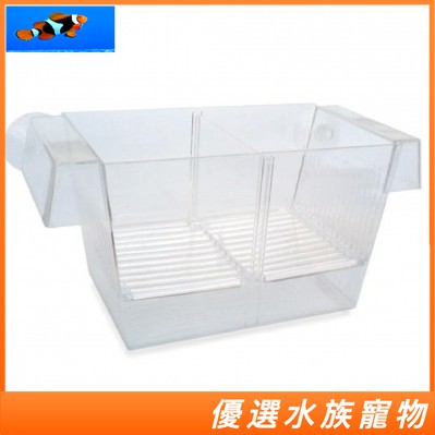 日生 孔雀孵育箱 繁殖盒 生小魚 母魚懷孕 隔離盒 自浮式 產卵盒 免吸盤 E-C2002