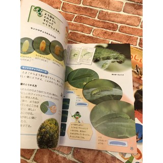 日本小學課本理科教科書3 6年級 蝦皮購物