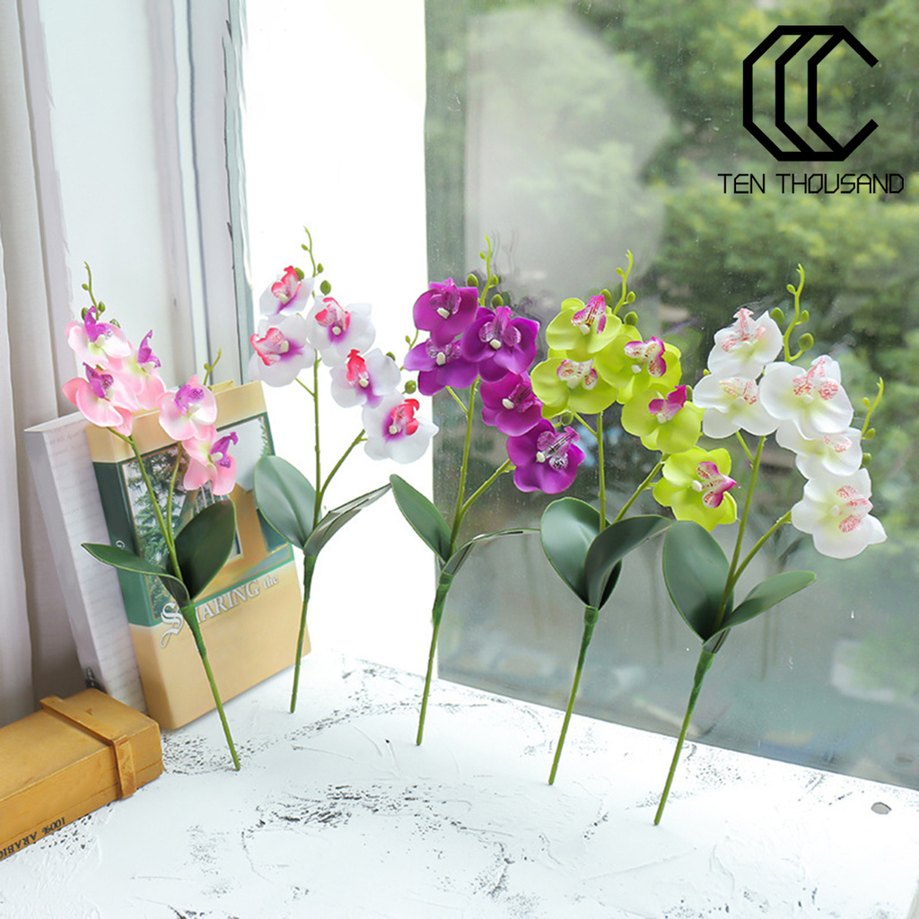 帳篷和 人造花蝴蝶蘭花diy 植物牆面配件家居裝飾 蝦皮購物
