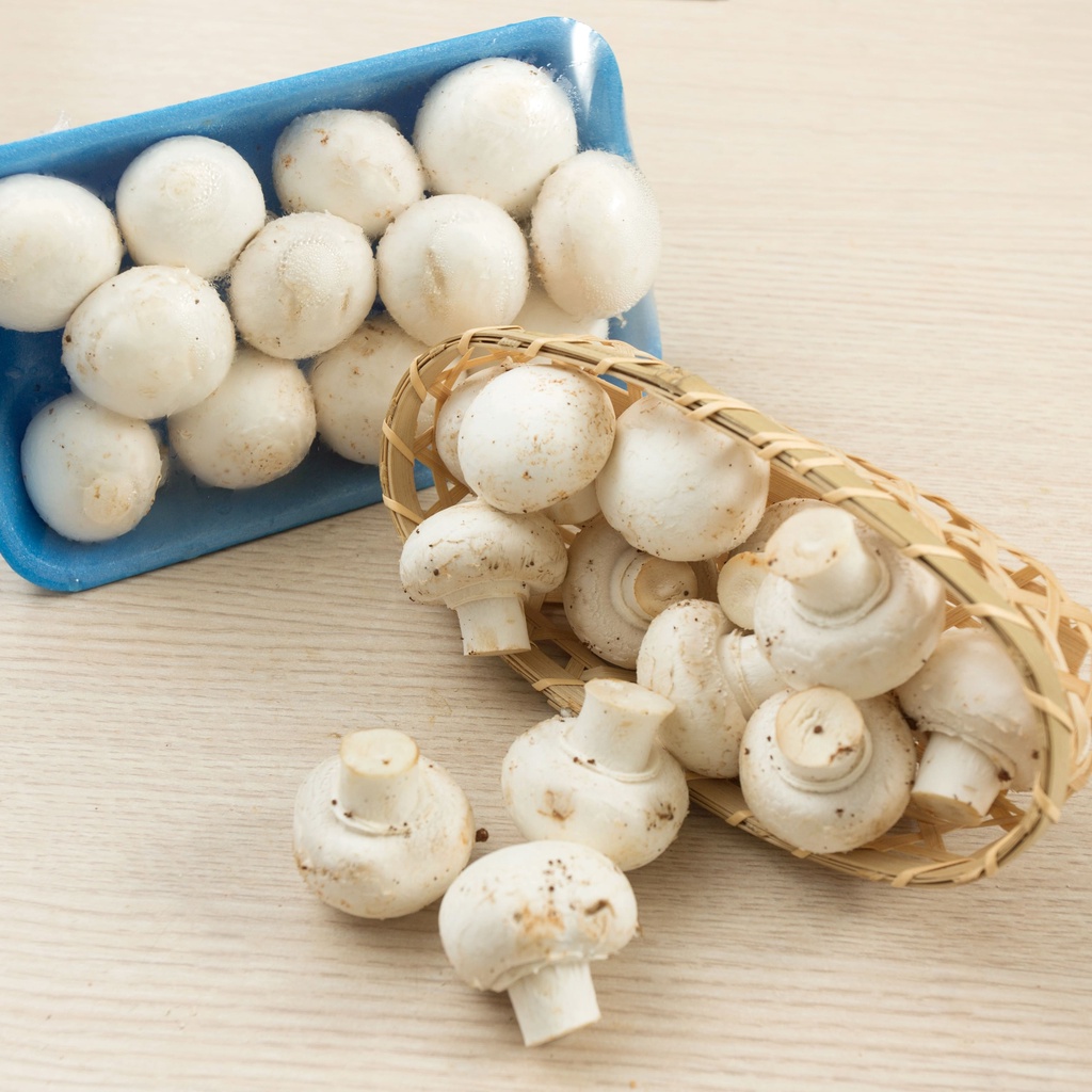【喵菜園】  洋盒，洋菇，蘑菇🍄（三盒）  冷藏寄件