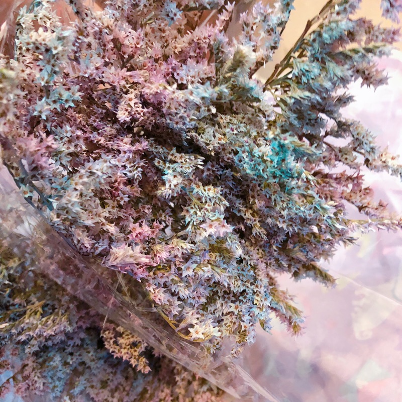 Choco’s 花材～噴染雪花～ 藍色+粉色混合渲染 乾燥花材