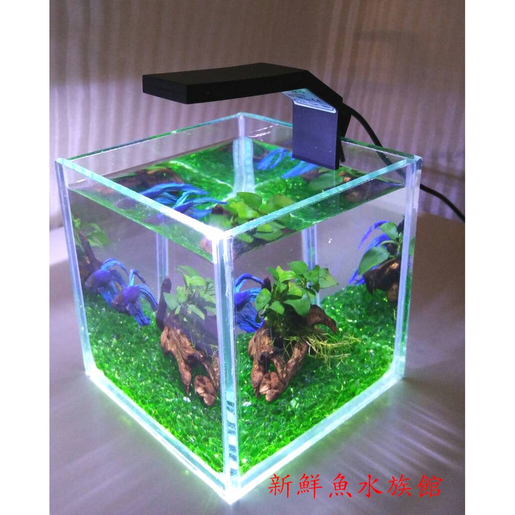 新鮮魚水族館 實體店面療癒系鬥魚套缸組基本款 12公分缸 鬥魚 底砂 沉木水草 Led燈特價 蝦皮購物