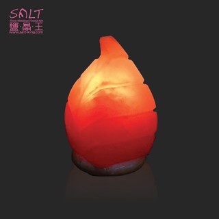 鹽燈專家【鹽晶王】玫瑰鹽(一夜致富) 造型鹽燈