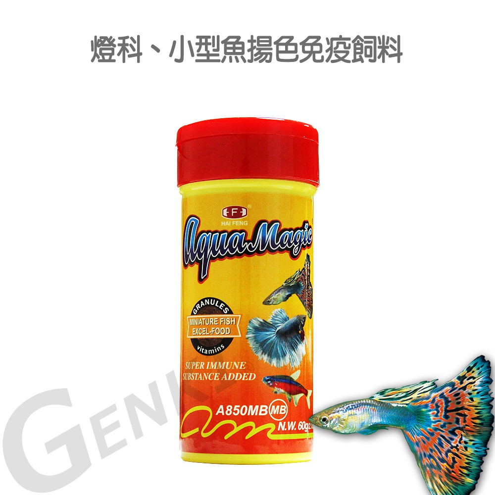 海豐飼料 A M 小型魚色揚免疫飼料細碎粒60g 適合孔雀魚 燈科魚及一般小型魚食用 蝦皮購物