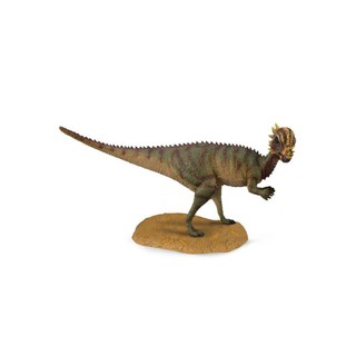 「芃芃玩具」COLLECTA 動物模型 厚頭龍 恐龍公仔 R88629 貨號88629