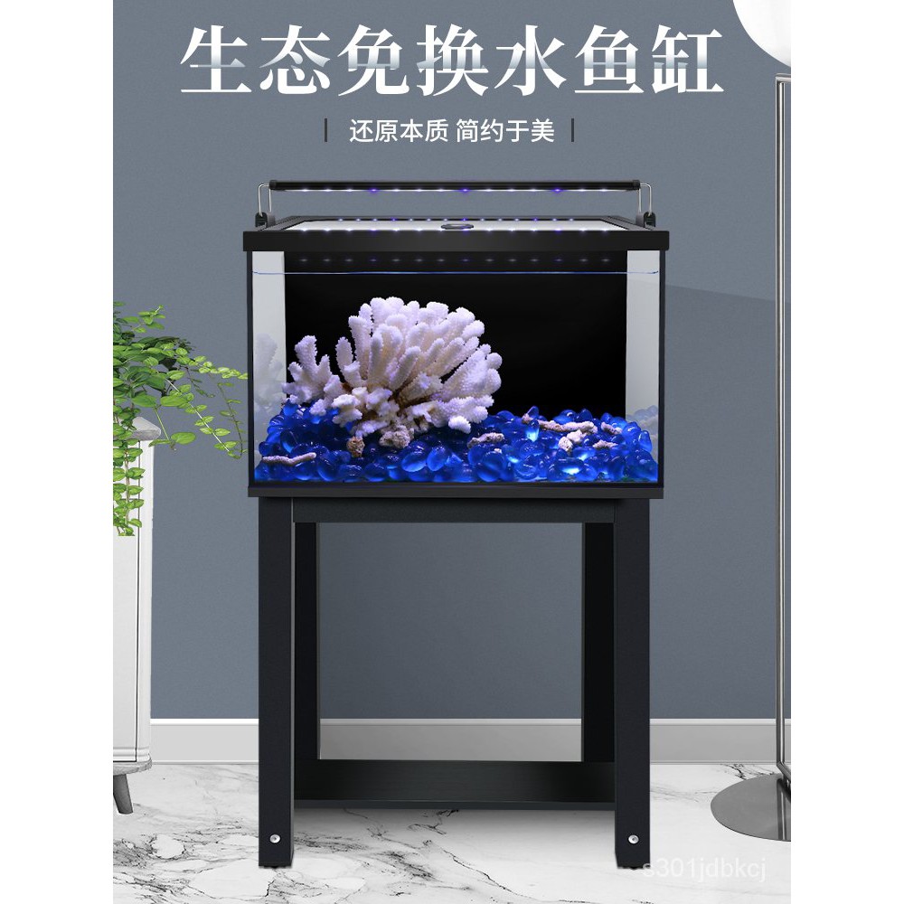 熱銷小型迷你免換水魚缸 背部過濾魚缸小型客廳家用桌面水族箱免換水超白玻璃金魚缸造景 小型魚缸 蝦皮購物