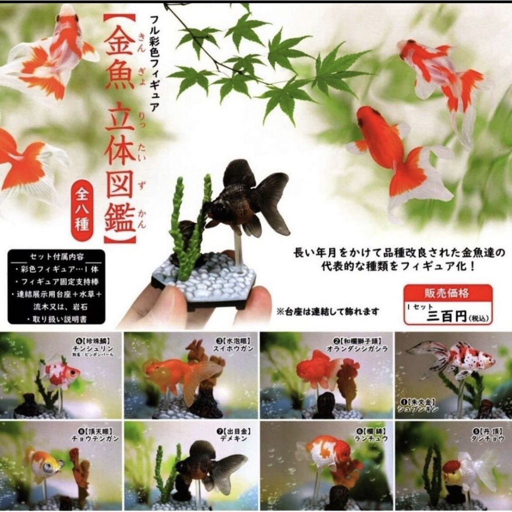 現貨beam 金魚立體圖鑑金魚觀賞魚立體金魚全八種珍珠鱗蘭壽丹頂頂天眼水泡眼擬真轉蛋扭蛋 蝦皮購物