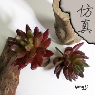 多肉 模擬多肉 微景觀 P89 假多肉植物 居家裝飾辦公室小物商店擺飾生日禮物拍照道具木頭底座咖啡屋盆栽