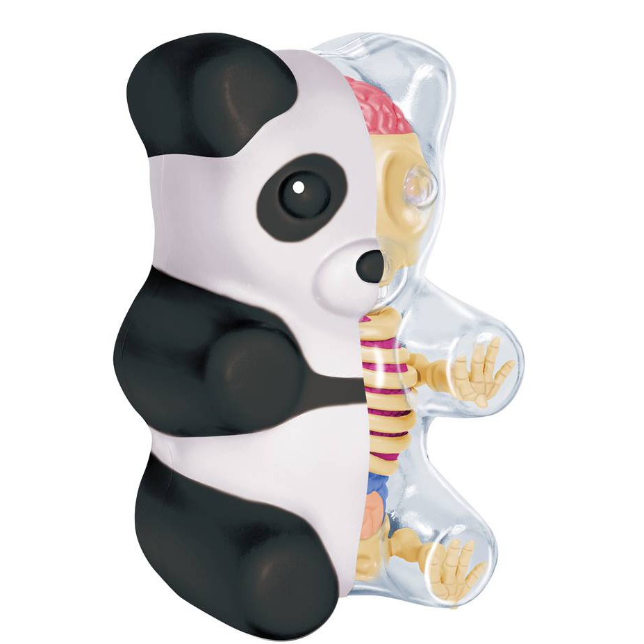 4D MASTER Gummi Bear Anatomy/ Panda 熊貓/ Small 誠品eslite