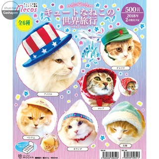 可愛貓咪的世界旅行 貓咪頭巾 盒玩