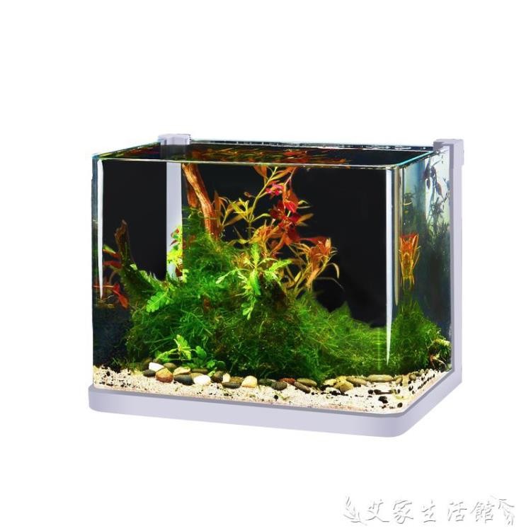 超低價烏龜缸超白玻璃魚缸小型客廳桌面創意水族箱懶人水草缸造景金斗魚烏龜缸優先發貨 蝦皮購物