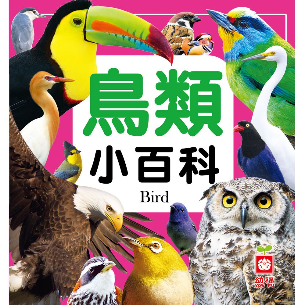 ✨現貨✨《幼福》鳥類小百科⭐️樂樂童書⭐️