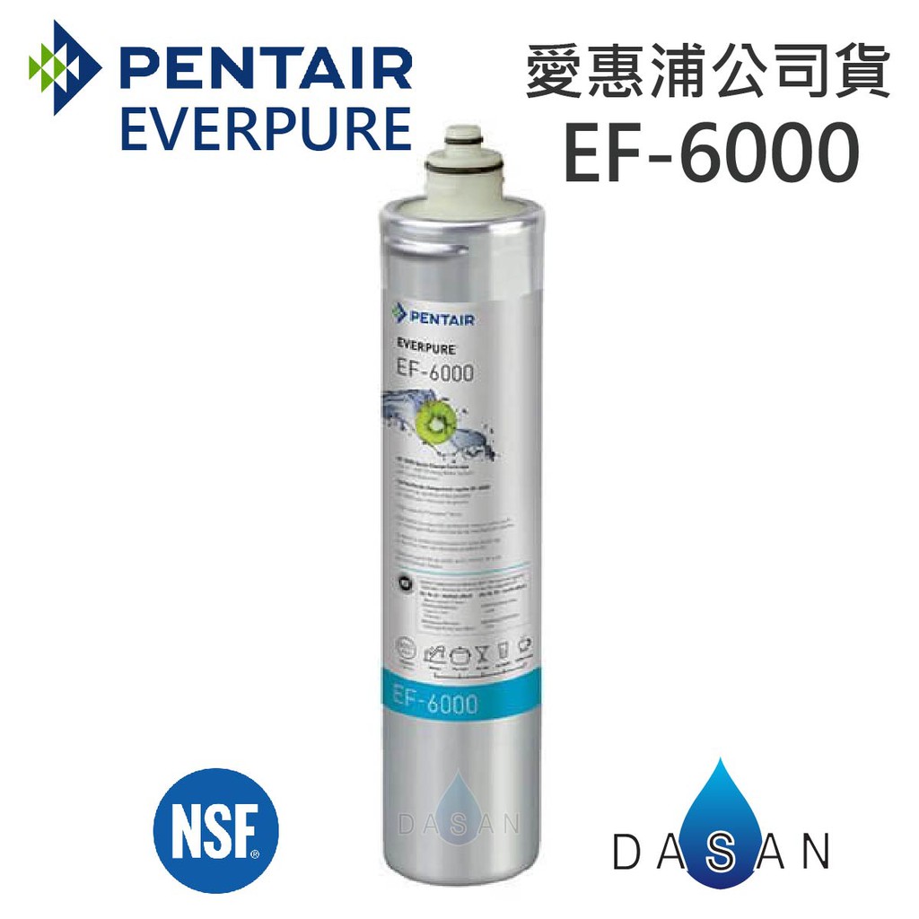 【台灣愛惠浦】EF-6000 EF6000 濕式碳纖活性碳 金色雷射標籤 EVERPURE 濾芯 贈小七禮卷300