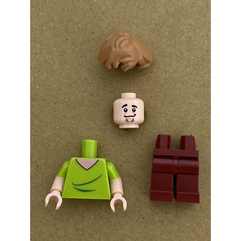 LEGO 樂高 人偶 薛吉·羅傑斯 史酷比 75900 75901 71207