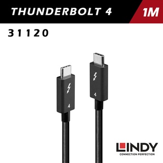 LINDY 林帝 被動式 THUNDERBOLT 4 INTEL 原廠認證傳輸線 100W 31120