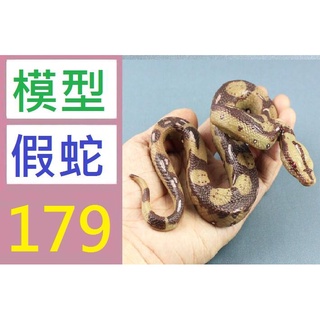 【臺灣倉庫現貨】硬質假蛇模型模擬大蟒蛇實心野生動物生物模型蛇小孩兒童玩具收藏擺件