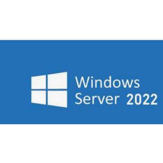 微軟Windows Server CAL 2022 1pk DSP OEI 5 Clt User CAL 中文隨機版