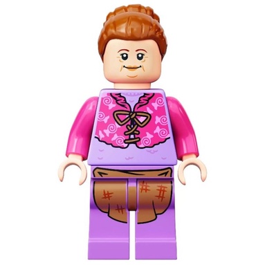 LEGO 樂高 哈利波特 弗盧姆夫人 Mrs.Flume hp292 76388