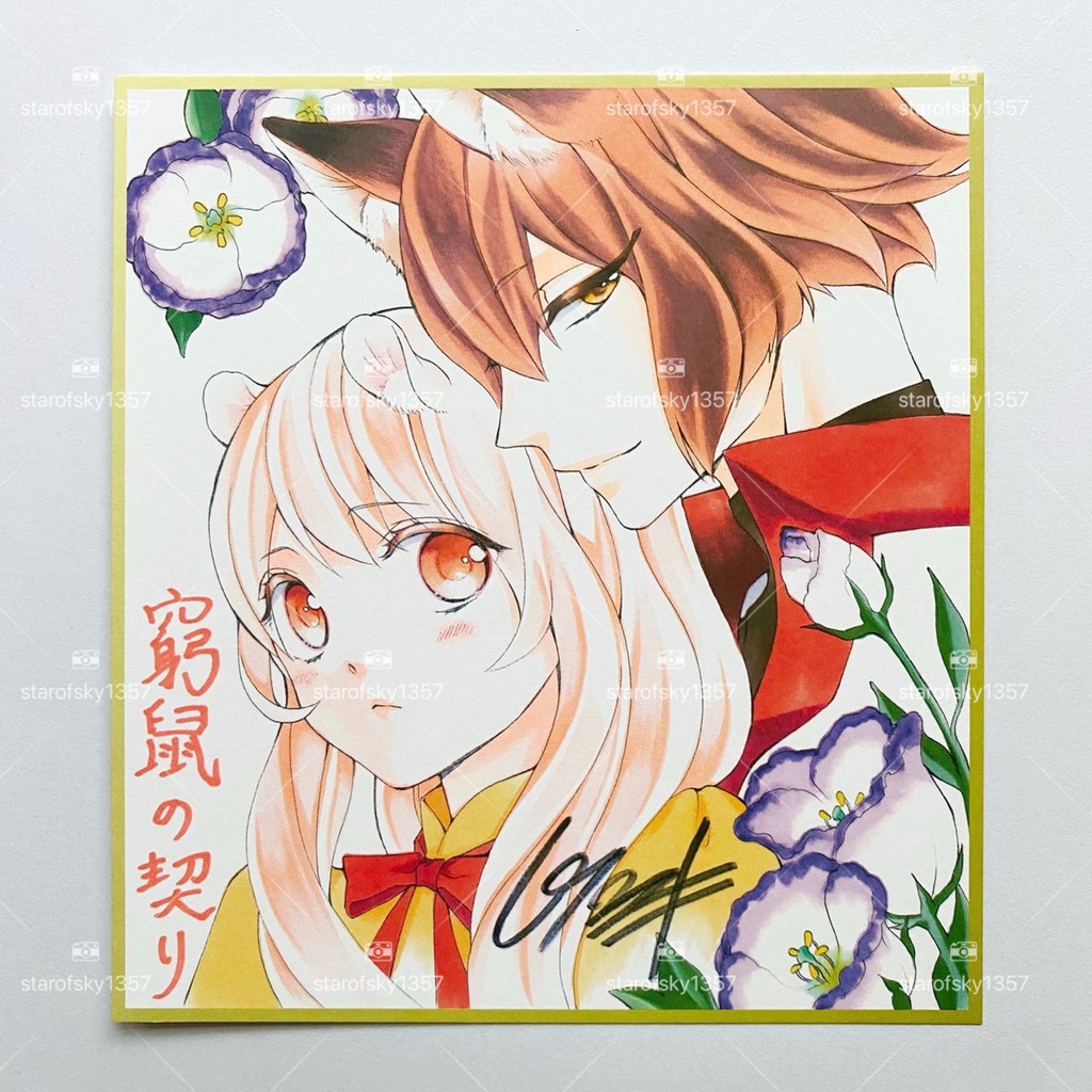 白石ユキ窮鼠の契り 偽りのw 複製簽名色紙日本少女漫畫sho Comi 月刊附錄21 11號 蝦皮購物