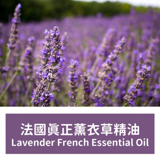 【馥靖精油】法國真正薰衣草精油 Lavender French Essential Oil