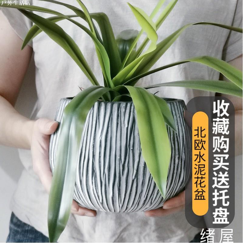 北歐ins網紅石頭紋水泥花盆琴葉榕綠蘿天堂鳥虎皮蘭客廳創意花盆 蝦皮購物
