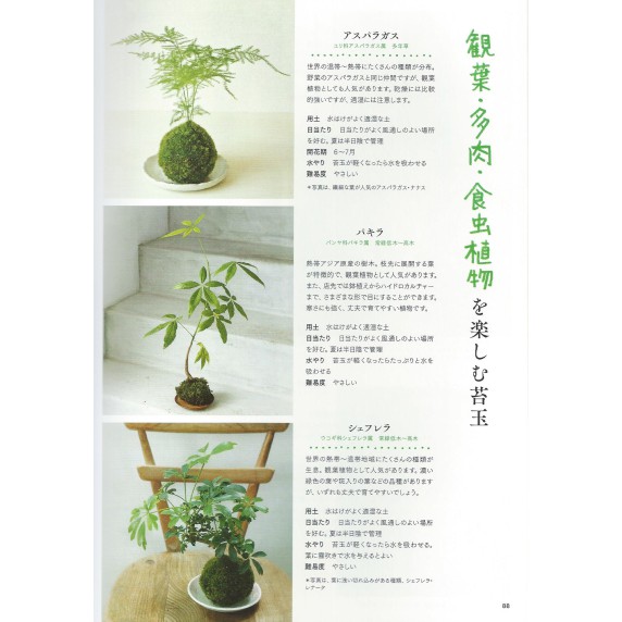 苔蘚球的製作以及培育筆記 日文 蝦皮購物
