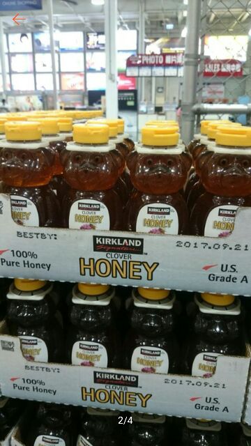 HONEY  BEAR 小熊造型蜂蜜680公克*1入#703761 好市多代購 #369# 小熊 蜂蜜