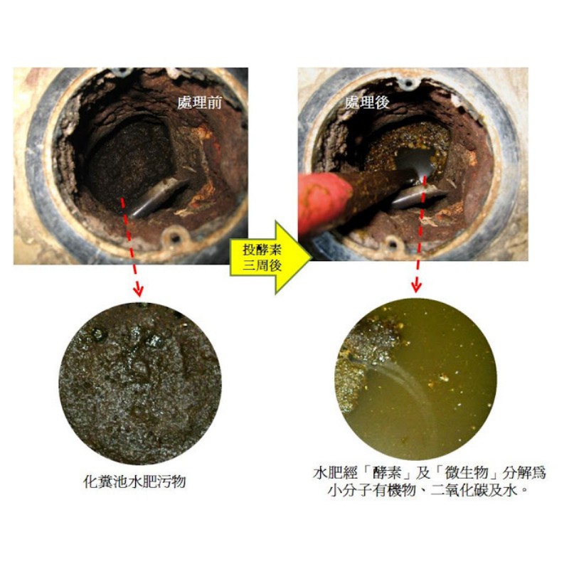 綠大地化糞清 水肥分解酵素1kg 化糞池除臭 水肥分解 現貨不用等 台灣製造 蝦皮購物