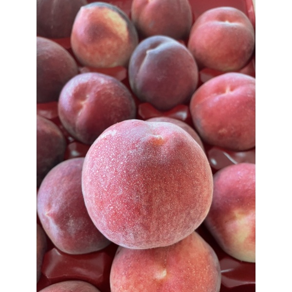 限時下殺 免運 美國加州空運水蜜桃誼馨園桃仙子原裝15 22粒 水果狼fruitman 蝦皮購物